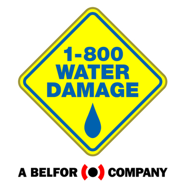 1-800 WATER DAMAGE (A BELFOR Company) - Logo (RGB)